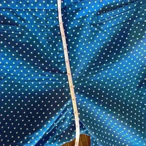Talbot’s Hampshire curvy polka dot cotton pants size 6, blue, EUC, casual, work - Picture 9 of 10